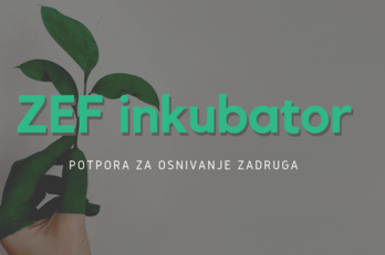 Small zef inkubator  1 